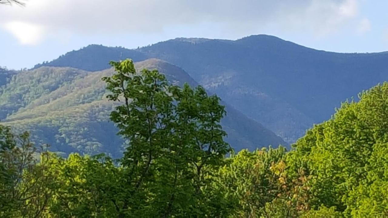 Mountain Serenity ガトリンバーグ エクステリア 写真